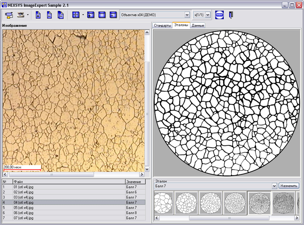 ImageExpert™ Sample 2
