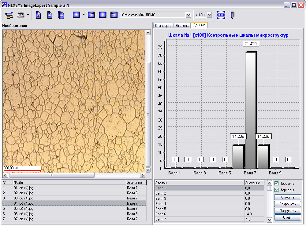 ImageExpert™ Sample 2